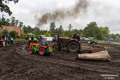 Treckertreffen-Oldtimertreffen-Berumerfehn-Grossheide-5.7.2025-187