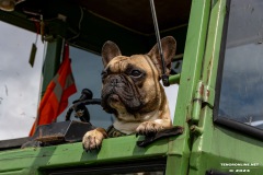 Treckertreffen-Oldtimertreffen-Rechtsupweg-13.7.2024-254