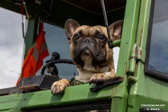 Treckertreffen-Oldtimertreffen-Rechtsupweg-13.7.2024-255