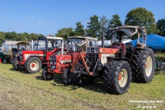 Treckertreffen-Freunde-des-Lanz-Bulldogs-e.V-Rechtsupweg-7.7.2023-46