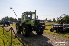 Treckertreffen-Freunde-des-Lanz-Bulldogs-e.V-Rechtsupweg-7.7.2023-77