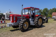 Treckertreffen-Freunde-des-Lanz-Bulldogs-Rechtsupweg-e.V-8.7.2023-199