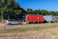 Treckertreffen-der-Westermarscher-Trecker-Freunde-in-Westermarsch-13.8.2022-5