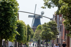 Verkaufsoffener-Sonntag-Rosenmarkt-Stadt-Norden-11.6.2023-15