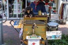 Verkaufsoffener-Sonntag-Rosenmarkt-Stadt-Norden-11.6.2023-44