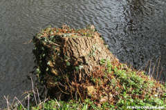 Verschönerungsweg Norden März 8.3.2019-3