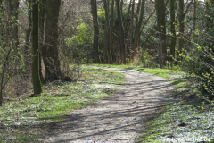 Verschönerungsweg Norden März 8.3.2019-8