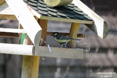 Meise-Norden-1.6.2019-1