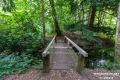 Bruecke-Wald-Berumerfehn-UW-19.7.2023-16