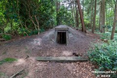 Eiskeller-Wald-Berumerfehn-UW-19.7.2023-10