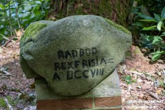 Radbodstein-Wald-Berumerfehn-19.7.2023-33