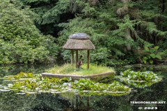 Rotkaeppchen-Wald-Berumerfehn-19.7.2023-15