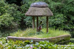 Rotkaeppchen-Wald-Berumerfehn-19.7.2023-16