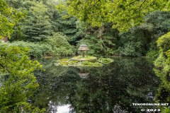 Rotkaeppchen-Wald-Berumerfehn-19.7.2023-17
