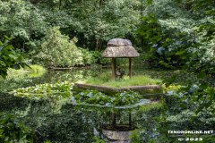 Rotkaeppchen-Wald-Berumerfehn-19.7.2023-31