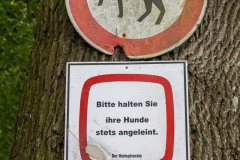 Wald-Berumerfehn-19.7.2023-1