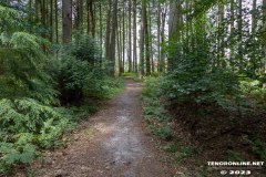 Wald-Berumerfehn-19.7.2023-14