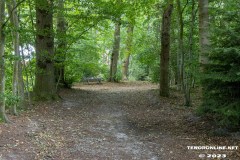 Wald-Berumerfehn-19.7.2023-2