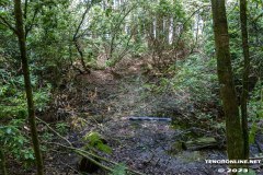 Wald-Berumerfehn-19.7.2023-21