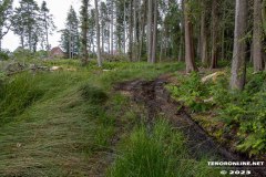 Wald-Berumerfehn-19.7.2023-25
