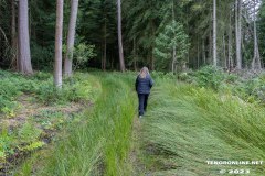 Wald-Berumerfehn-19.7.2023-26