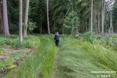 Wald-Berumerfehn-19.7.2023-27