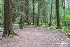 Wald-Berumerfehn-19.7.2023-29