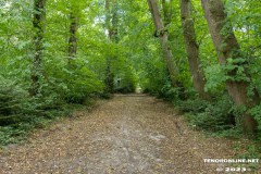Wald-Berumerfehn-19.7.2023-3
