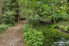 Wald-Berumerfehn-19.7.2023-41