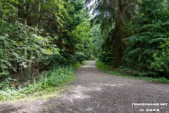 Wald-Berumerfehn-19.7.2023-43