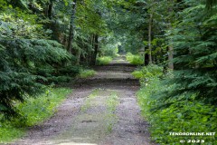 Wald-Berumerfehn-19.7.2023-44