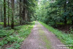 Wald-Berumerfehn-19.7.2023-46