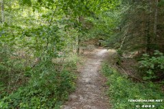 Wald-Berumerfehn-19.7.2023-48