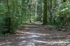 Wald-Berumerfehn-19.7.2023-5