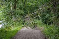 Wald-Berumerfehn-19.7.2023-51