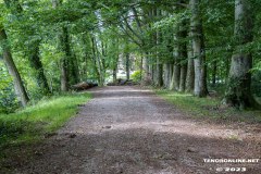 Wald-Berumerfehn-19.7.2023-52