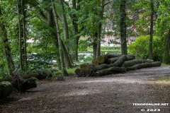 Wald-Berumerfehn-19.7.2023-53