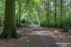 Wald-Berumerfehn-19.7.2023-6