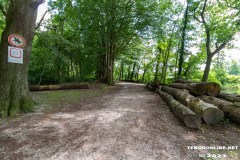Wald-Berumerfehn-UW-19.7.2023-1