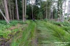 Wald-Berumerfehn-UW-19.7.2023-13