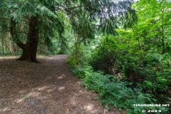 Wald-Berumerfehn-UW-19.7.2023-15