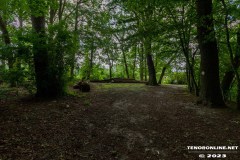 Wald-Berumerfehn-UW-19.7.2023-2