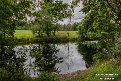 Wald-Berumerfehn-UW-19.7.2023-20