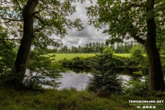 Wald-Berumerfehn-UW-19.7.2023-21