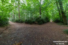 Wald-Berumerfehn-UW-19.7.2023-3