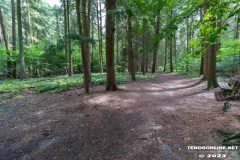 Wald-Berumerfehn-UW-19.7.2023-4