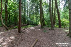 Wald-Berumerfehn-UW-19.7.2023-7