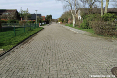 Waldstraße Norden März 8.3.2019-1