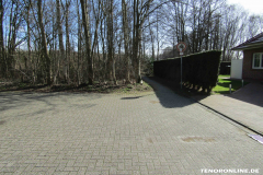 Waldstraße Norden März 8.3.2019-2