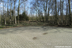 Waldstraße Norden März 8.3.2019-3